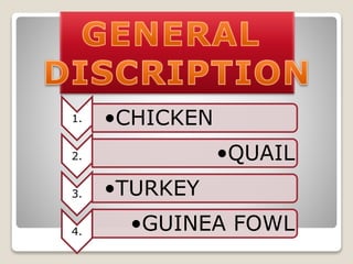 1. •CHICKEN
2. •QUAIL
3.
•GUINEA FOWL4.
•TURKEY
 