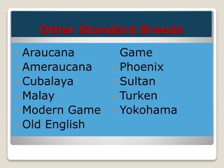 Other Standard Breeds
• Araucana
• Ameraucana
• Cubalaya
• Malay
• Modern Game
• Old English
Game
• Phoenix
• Sultan
• Turken
• Yokohama
 