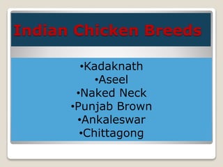 Indian Chicken Breeds
•Kadaknath
•Aseel
•Naked Neck
•Punjab Brown
•Ankaleswar
•Chittagong
 