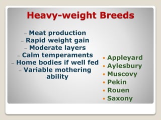 Heavy-weight Breeds
 Appleyard
 Aylesbury
 Muscovy
 Pekin
 Rouen
 Saxony
– Meat production
– Rapid weight gain
– Moderate layers
– Calm temperaments
– Home bodies if well fed
– Variable mothering
ability
 