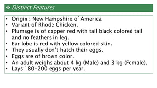  Distinct Features
• Origin : New Hampshire of America
• Variant of Rhode Chicken.
• Plumage is of copper red with tail black colored tail
and no feathers in leg.
• Ear lobe is red with yellow colored skin.
• They usually don’t hatch their eggs.
• Eggs are of brown color.
• An adult weighs about 4 kg (Male) and 3 kg (Female).
• Lays 180-200 eggs per year.
 