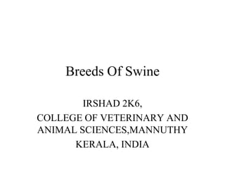 Breeds Of Swine IRSHAD 2K6, COLLEGE OF VETERINARY AND ANIMAL SCIENCES,MANNUTHY KERALA, INDIA 
