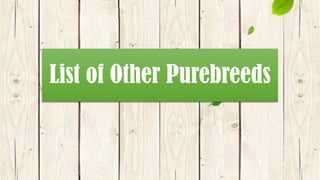List of Other Purebreeds
 