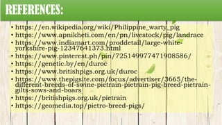 REFERENCES:
• https://en.wikipedia.org/wiki/Philippine_warty_pig
• https://www.apnikheti.com/en/pn/livestock/pig/landrace
• https://www.indiamart.com/proddetail/large-white-
yorkshire-pig-12347641373.html
• https://www.pinterest.ph/pin/725149977471908586/
• https://genetic.by/en/duroc
• https://www.britishpigs.org.uk/duroc
• https://www.thepigsite.com/focus/advertiser/3665/the-
different-breeds-of-swine-pietrain-pietrain-pig-breed-pietrain-
gilts-sows-and-boars
• https://britishpigs.org.uk/pietrain
• https://geomedia.top/pietro-breed-pigs/
 