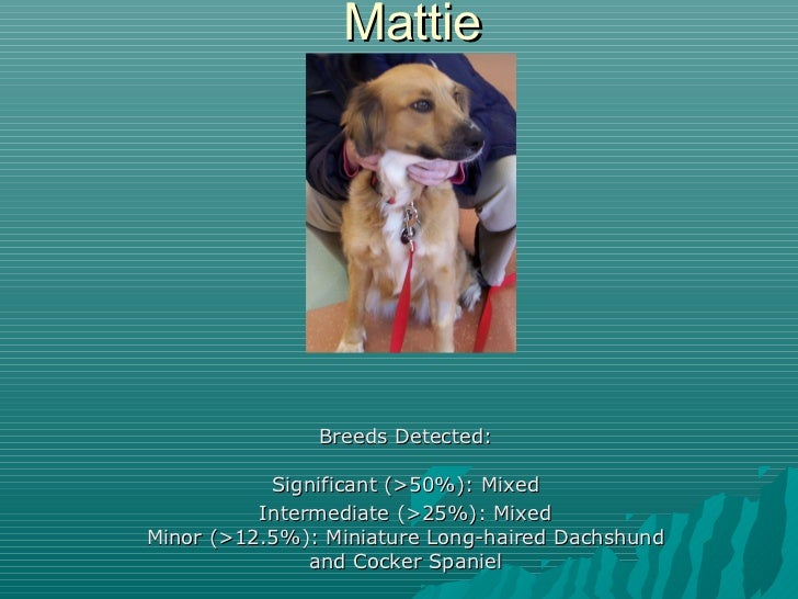 Breed Specific Wellness
