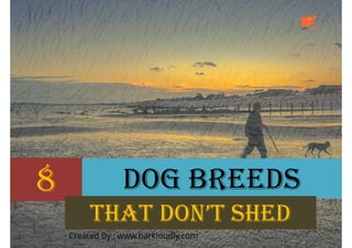 8

DOG BREEDS
THAT DON’T SHED
Created By : www.barkloudly.com

 