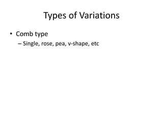 Types of Variations
• Comb type
– Single, rose, pea, v-shape, etc
 