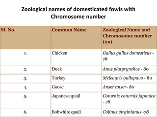 Zoological names of domesticated fowls with
Chromosome number
Sl. No. Common Name Zoological Name and
Chromosome number
(2n)
1. Chicken Gallus gallus domesticus -
78
2. Duck Anas platyrynchos - 80
3. Turkey Meleagris gallopavo - 80
4. Goose Anser anser- 80
5. Japanese quail Coturnix coturnix japonica
- 78
6. Bobwhite quail Colinus virginianus -78
 