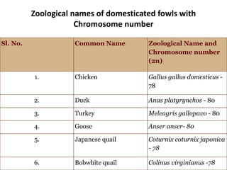 Zoological names of domesticated fowls with
Chromosome number
Sl. No. Common Name Zoological Name and
Chromosome number
(2...