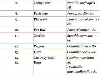7. Guinea fowl Numida meleagris -
78
8. Partridge Perdix perdix- 80
9. Pheasant Phasianus colchicus -
82
10. Pea fowl Pavo cristatus – 80
11. Ostrich Struthio camelus –
80
12. Pigeon Columba livia – 80
13. Dove Columba oenas -80
14.
15.
Muscovy Duck
Emu
Cairina moschata –
80
Dromaius
novaehollandiae-80
 