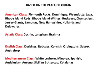 American Class: Plymouth Rocks, Dominique, Wyandotte, Java,
Rhode Island Reds, Rhode Island Whites, Buckeyes, Chanteclers,
Jersey Giants, Lamonas, New Hampshire, Hollands and
Delawares.
Asiatic Class: Cochin, Langshan, Brahma
English Class: Dorkings, Redcaps, Cornish, Orpingtons, Sussex,
Australorp
Mediterranean Class: White Leghorn, Minorca, Spanish,
Andalusian, Ancona, Sicilian Buttercup, Catalanas
BASED ON THE PLACE OF ORIGIN
 