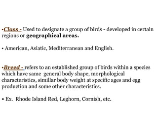 •Class - Used to designate a group of birds - developed in certain
regions or geographical areas.
• American, Asiatic, Med...