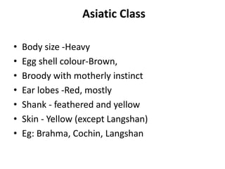 Asiatic Class
• Body size -Heavy
• Egg shell colour-Brown,
• Broody with motherly instinct
• Ear lobes -Red, mostly
• Shank - feathered and yellow
• Skin - Yellow (except Langshan)
• Eg: Brahma, Cochin, Langshan
 