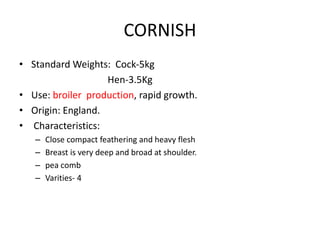 CORNISH
• Standard Weights: Cock-5kg
Hen-3.5Kg
• Use: broiler production, rapid growth.
• Origin: England.
• Characteristics:
– Close compact feathering and heavy flesh
– Breast is very deep and broad at shoulder.
– pea comb
– Varities- 4
 
