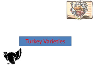 Turkey Varieties
 