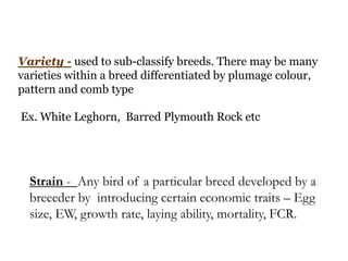 Variety - used to sub-classify breeds. There may be many
varieties within a breed differentiated by plumage colour,
pattern and comb type
Ex. White Leghorn, Barred Plymouth Rock etc
Strain - Any bird of a particular breed developed by a
breeeder by introducing certain economic traits – Egg
size, EW, growth rate, laying ability, mortality, FCR.
 