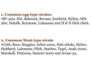 1. Common egg-type strains
•BV-300, ISA, Babcock, Bovans, Euribrid, Hyline, HH-
260, Dekalb, Keystone, Lohmann and H & N Nick chick.
2. Common Meat-type strain
•Cobb, Ross, Steggles, Arbor acres, Hub chicks, Hybro,
Hubbard, Lohmann, Pilch, Starbro, Tegel, Anak-2000,
Marshall, Peterson, Samrat-2000 and Avian-34.
 