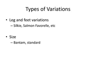 Types of Variations
• Leg and feet variations
– Silkie, Salmon Favorelle, etc
• Size
– Bantam, standard
 