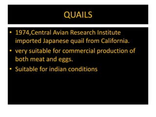 QUAILS
• 1974,Central Avian Research Institute
imported Japanese quail from California.
• very suitable for commercial production of
both meat and eggs.
• Suitable for indian conditions
 