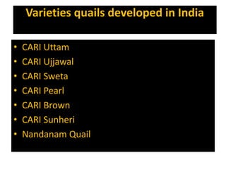 Varieties quails developed in India
• CARI Uttam
• CARI Ujjawal
• CARI Sweta
• CARI Pearl
• CARI Brown
• CARI Sunheri
• Nandanam Quail
 