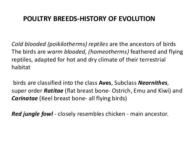 Poultry Classification Chart