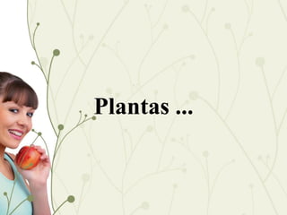 Plantas ...
 