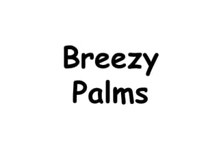 Breezy
Palms
 