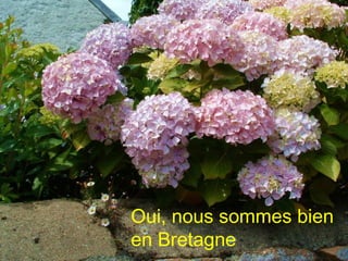 Oui, nous sommes bien
en Bretagne