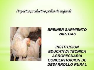 Proyectosproductivopollosde engorde
BREINER SARMIENTO
VARTGAS
INSTITUCION
EDUCATIVA TECNICA
AGROPECUARIA
CONCENTRACION DE
DESARROLLO RURAL
 