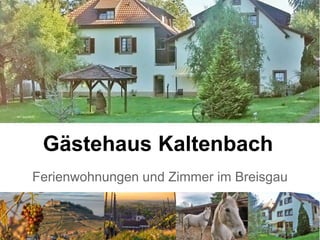Gästehaus Kaltenbach
Ferienwohnungen und Zimmer im Breisgau
 