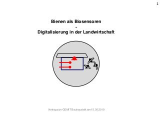 Bienen als Biosensoren
-
Digitalisierung in der Landwirtschaft
1
Vortrag zum GEMIT Bauhaustalk am 15.05.2019
 