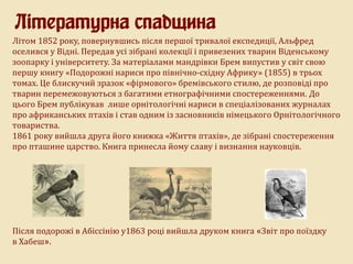 Літом 1852 року, повернувшись після першої тривалої експедиції, Альфред
оселився у Відні. Передав усі зібрані колекції і привезених тварин Віденському
зоопарку і університету. За матеріалами мандрівки Брем випустив у світ свою
першу книгу «Подорожні нариси про північно-східну Африку» (1855) в трьох
томах. Це блискучий зразок «фірмового» бремівського стилю, де розповіді про
тварин перемежовуються з багатими етнографічними спостереженнями. До
цього Брем публікував лише орнітологічні нариси в спеціалізованих журналах
про африканських птахів і став одним із засновників німецького Орнітологічного
товариства.
1861 року вийшла друга його книжка «Життя птахів», де зібрані спостереження
про пташине царство. Книга принесла йому славу і визнання науковців.
Після подорожі в Абіссінію у1863 році вийшла друком книга «Звіт про поїздку
в Хабеш».
Літературна спадщина
 
