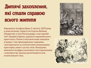 Народився Альфред Брем 2 лютого 1829 року
в невеличкому герцогстві Саксен-Веймар
(Тюрінгія), в селі Рентендорф, в пасторовій
сім’ї Людвига Брема, відомого європейського
орнітолога. Разом із батьком вони ховалися
в кущах і там просиджували годинами,
спостерігаючи за голосистими мешканцями
просторих ланів і густих лісів. Несвідомо,
мимоволі Альфред захопився спостереженням
і навчився ще здалеку розпізнавати всіх
птахів їхнього лісу.
Дитячі захоплення,
які стали справою
всього життя
 