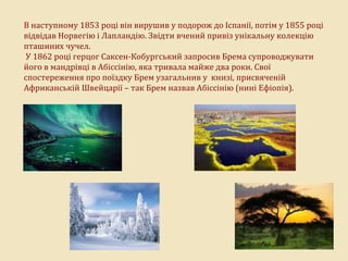 В наступному 1853 році він вирушив у подорож до Іспанії, потім у 1855 році
відвідав Норвегію і Лапландію. Звідти вчений привіз унікальну колекцію
пташиних чучел.
У 1862 році герцог Саксен-Кобургський запросив Брема супроводжувати
його в мандрівці в Абіссінію, яка тривала майже два роки. Свої
спостереження про поїздку Брем узагальнив у книзі, присвяченій
Африканській Швейцарії – так Брем назвав Абіссінію (нині Ефіопія).
 