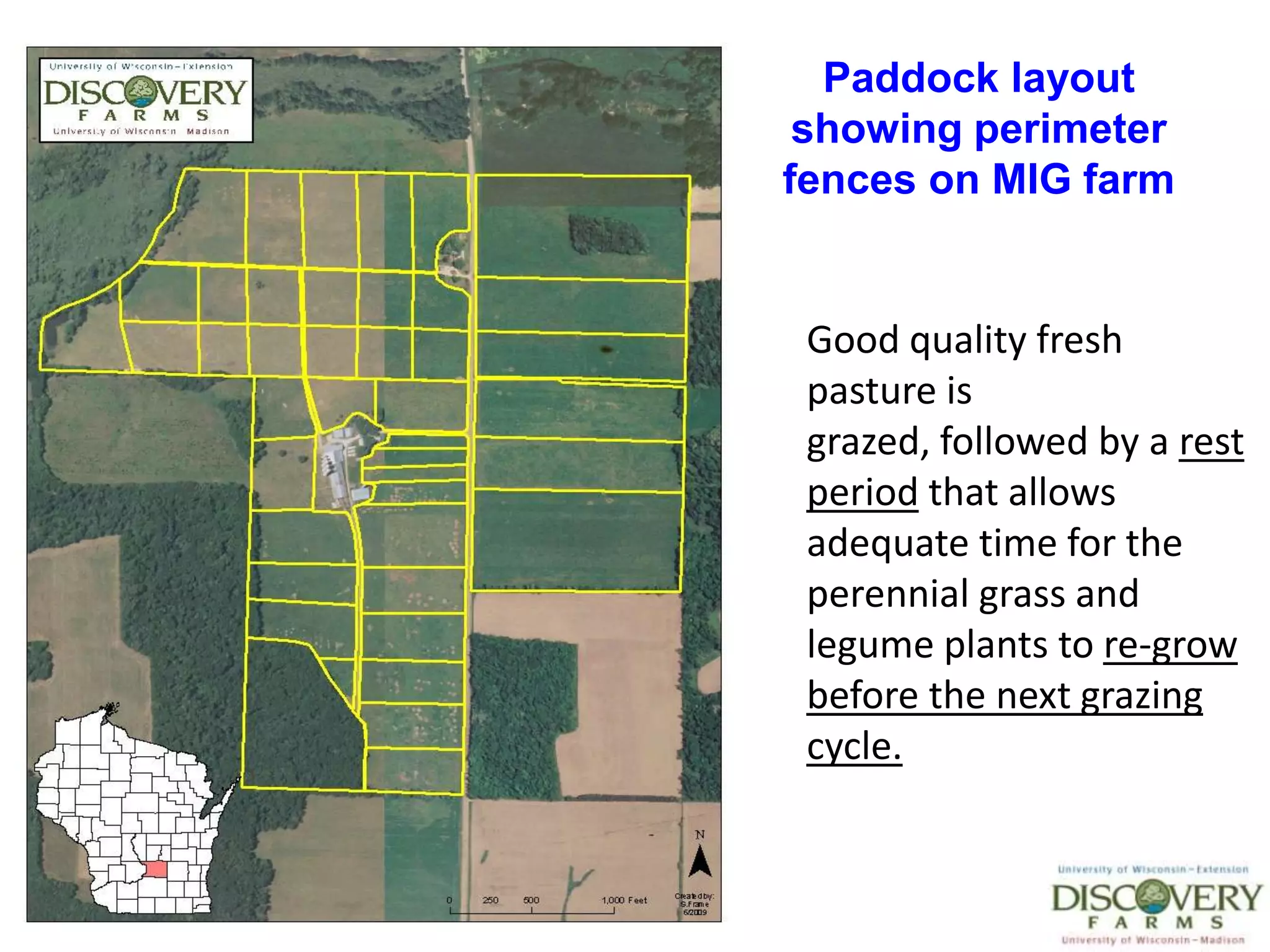 Paddock layout showing perimeter fences on MIG farmGood quality fresh pasture is grazed, followed by a rest period that allows adequate time for the perennial grass and legume plants to re-grow before the next grazing cycle. 