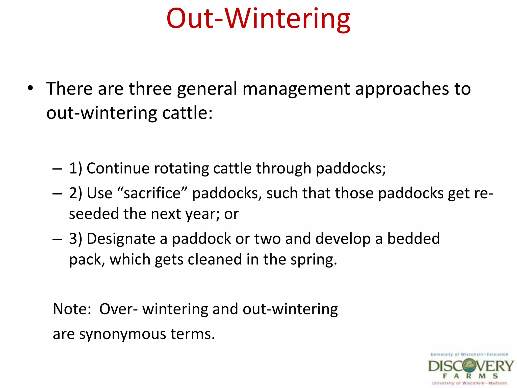 Out-WinteringThere are three general management approaches to out-wintering cattle: 1) Continue rotating cattle through paddocks; 2) Use “sacrifice” paddocks, such that those paddocks get re-seeded the next year; or 3) Designate a paddock or two and develop a bedded pack, which gets cleaned in the spring. Note:  Over- wintering and out-winteringare synonymous terms.
