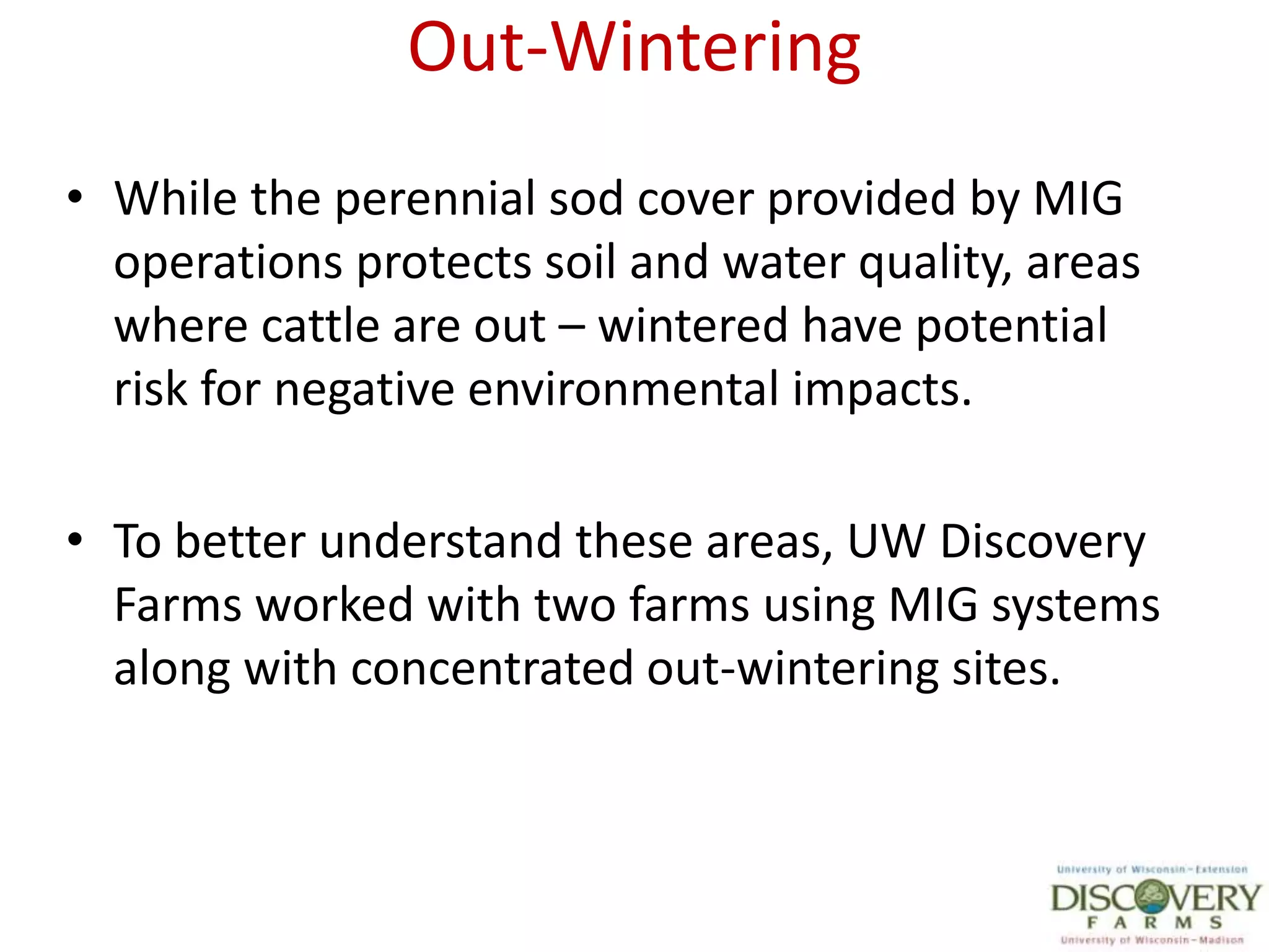 Out-WinteringWhile the perennial sod cover provided by MIG operations protects soil and water quality, areas where cattle are out – wintered have potential risk for negative environmental impacts.To better understand these areas, UW Discovery Farms worked with two farms using MIG systems along with concentrated out-wintering sites.