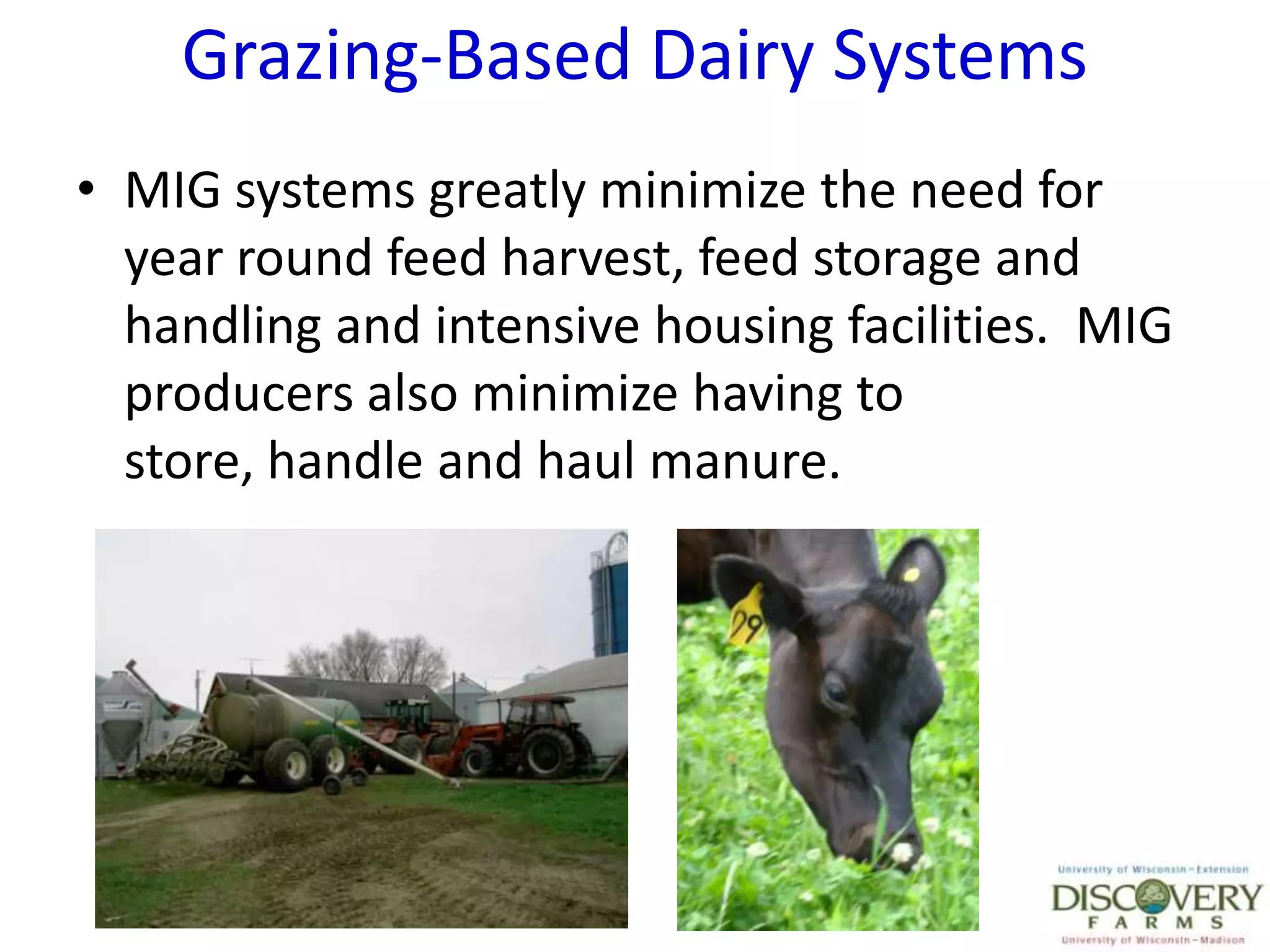 Grazing-Based Dairy SystemsMIG systems greatly minimize the need for year round feed harvest, feed storage and handling and intensive housing facilities.  MIG producers also minimize having to store, handle and haul manure.