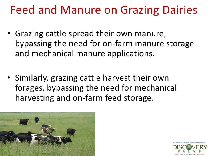 Bren 7 Dmi And Manure Production For Mig Dairy Cattle