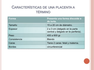 CARACTERÍSTICAS DE UNA PLACENTA A
TÉRMINO
Forma Presenta una forma discoide o
de torta.
Tamaño 15 a 20 cm de diámetro.
Espesor 2 a 3 cm (delgado en la parte
central y delgado en le periferia).
Peso 400 a 600 gr.
Consistencia Blando
Caras Tiene 2 caras: fetal y materna.
Bordes circunferencial
 