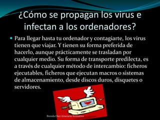 Virus multipartitas.