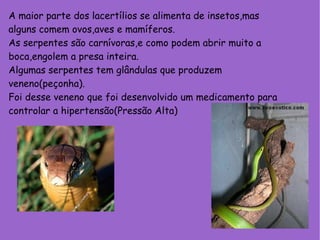 A maior parte dos lacertílios se alimenta de insetos,mas alguns comem ovos,aves e mamíferos. As serpentes são carnívoras,e como podem abrir muito a boca,engolem a presa inteira. Algumas serpentes tem glândulas que produzem veneno(peçonha). Foi desse veneno que foi desenvolvido um medicamento para controlar a hipertensão(Pressão Alta) 