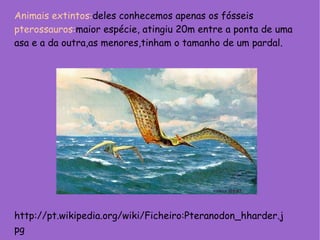 Animais extintos: deles conhecemos apenas os fósseis  pterossauros: maior espécie, atingiu 20m entre a ponta de uma asa e a da outra,as menores,tinham o tamanho de um pardal. http://pt.wikipedia.org/wiki/Ficheiro:Pteranodon_hharder.jpg 
