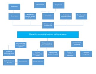 Migración campesina hacia los núcleos urbanos
Baja rentabilidad
en la actividad
agrícola
Perdida de
efectividadde los
suelos
Conflictos de uso
de suelo
Deforestación Erosión del suelo
Desempleo
Subempleo
Desintegración
familiar
Mendicidad
Altos costos para
producción agrícola
Limitado
accesibilidad al
crédito
Pérdida de
identidadcultural
Delincuencia
Bajo nivel de
escolaridad
Escases de
centros
educativos
Docentes
empíricos
Maquinaria a
precios elevados
Explotación y
abusode lamano
de obra
Drogadicción
Deterioro de la
calidad de vida
 