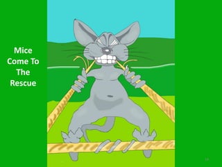 The fable of the mouse and the elephant…Harmony in the Forest7