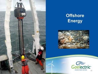 ElephantsSnaredin RedTape13