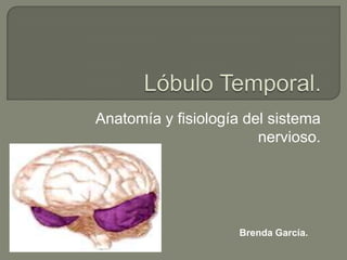Anatomía y fisiología del sistema
nervioso.

Brenda García.

 