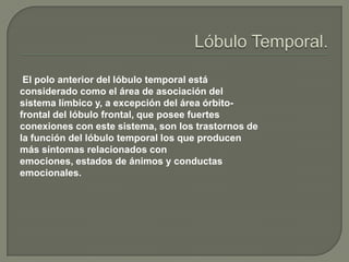 El polo anterior del lóbulo temporal está
considerado como el área de asociación del
sistema límbico y, a excepción del área órbitofrontal del lóbulo frontal, que posee fuertes
conexiones con este sistema, son los trastornos de
la función del lóbulo temporal los que producen
más síntomas relacionados con
emociones, estados de ánimos y conductas
emocionales.

 