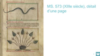 MS. 573 (XIIIe siècle), détail
d’une page
2
 
