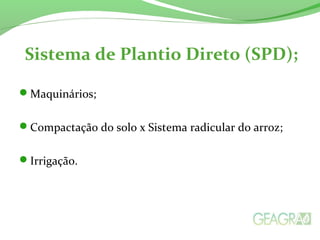 Sistema de Plantio Direto (SPD);
Maquinários;
Compactação do solo x Sistema radicular do arroz;
Irrigação.
 